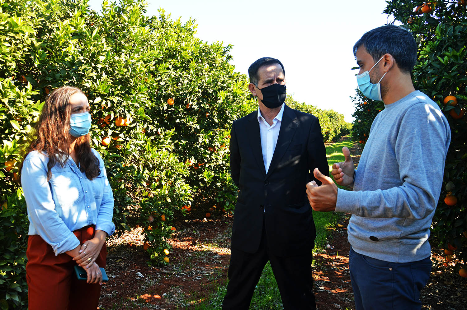 Sul Informação - Água, pragas, mão de obra e apoios no roteiro do secretário de Estado da Agricultura no Algarve
