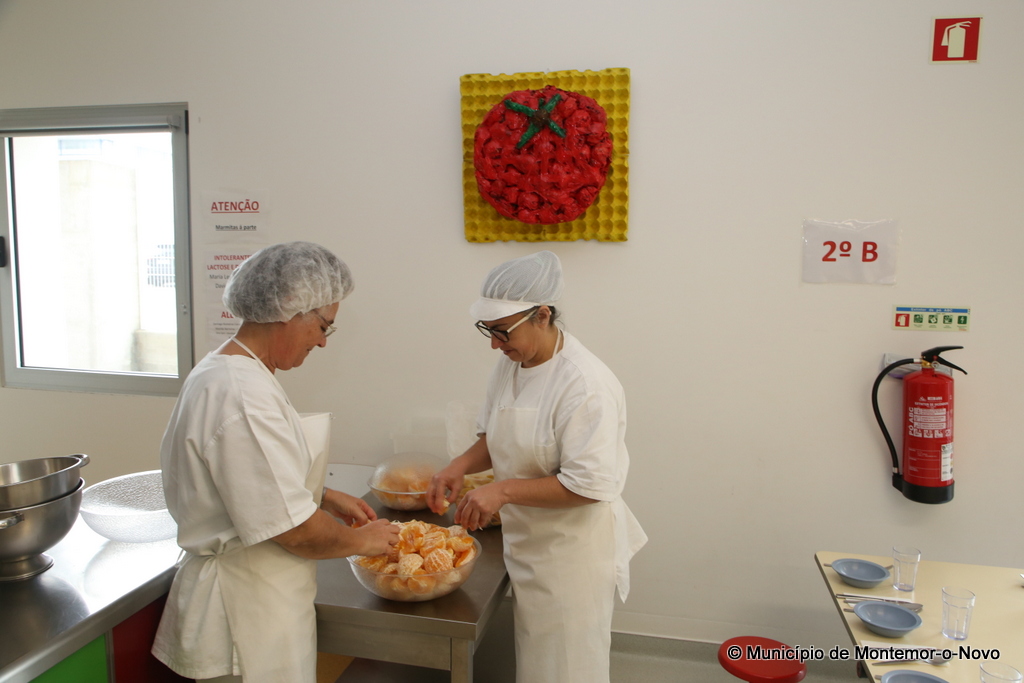 Sul Informação - Montemor-o-Novo “cozinhou” e forneceu 96 mil refeições nas escolas em 2017/18