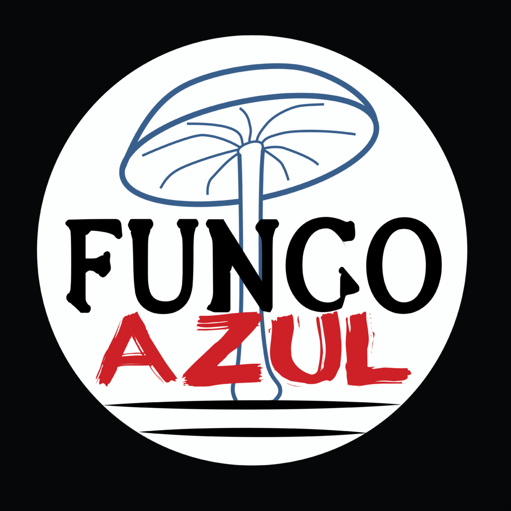 Sul Informação
