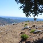 Sul Informação - Vai nascer um miradouro no cerro do Castelo de Alferce