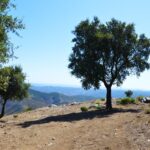 Sul Informação - Vai nascer um miradouro no cerro do Castelo de Alferce