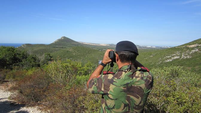 Sul Informação - Fuzileiros estão no Algarve a proteger a floresta contra incêndios