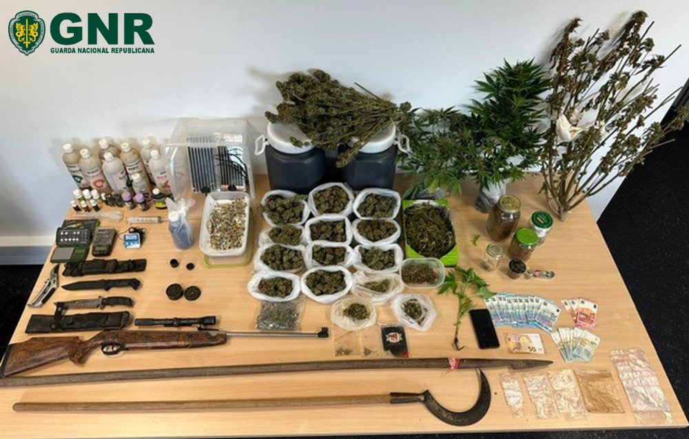 Sul Informação - Homem detido com droga, lança e carabina em Vila do Bispo