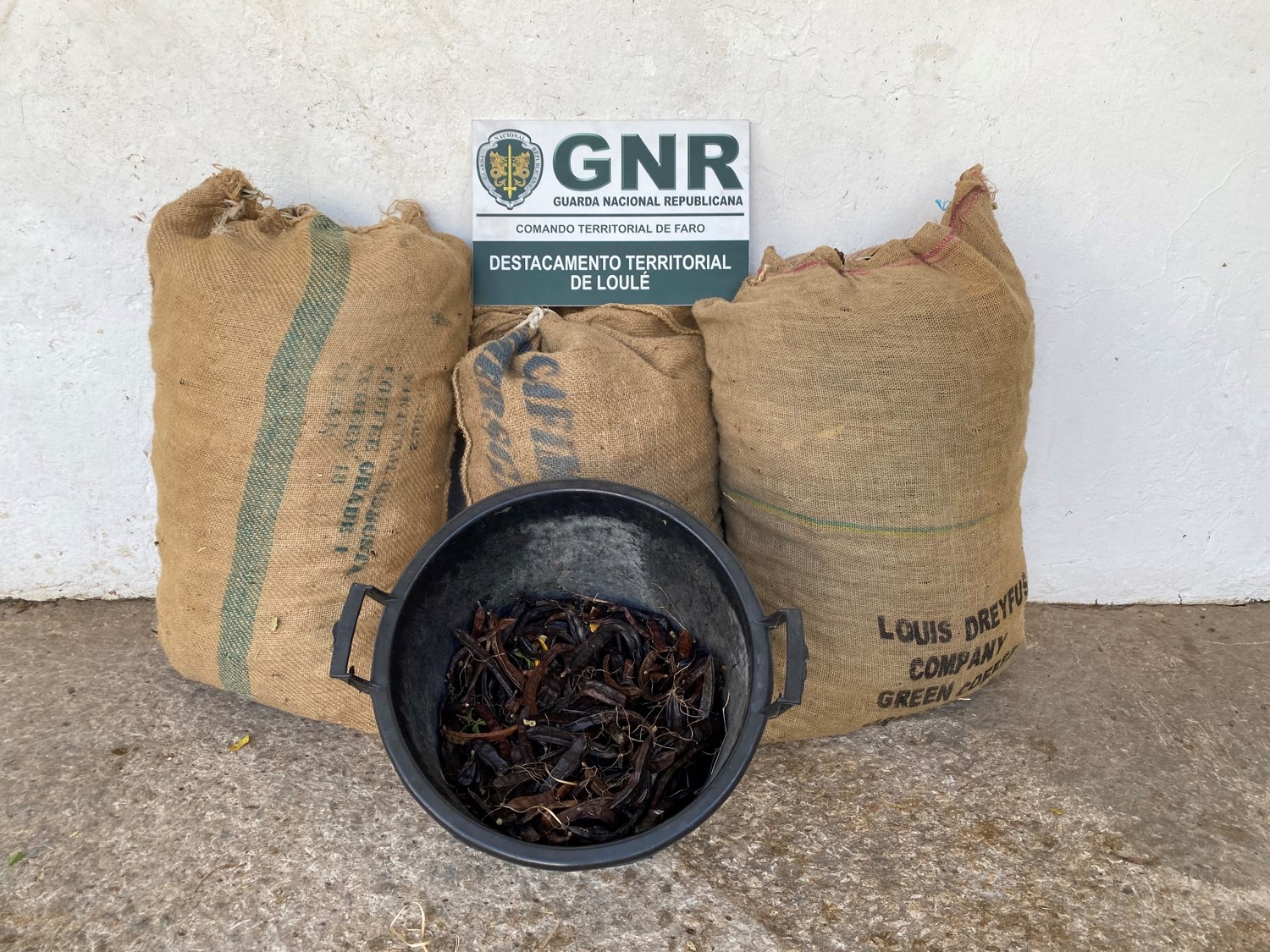 Sul Informação - GNR recupera três sacas de alfarroba que dois jovens furtaram em Loulé