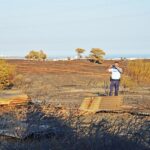 Sul Informação - Em Santa Rita, onde existiu um canil, apenas resta morte e destruição após o incêndio