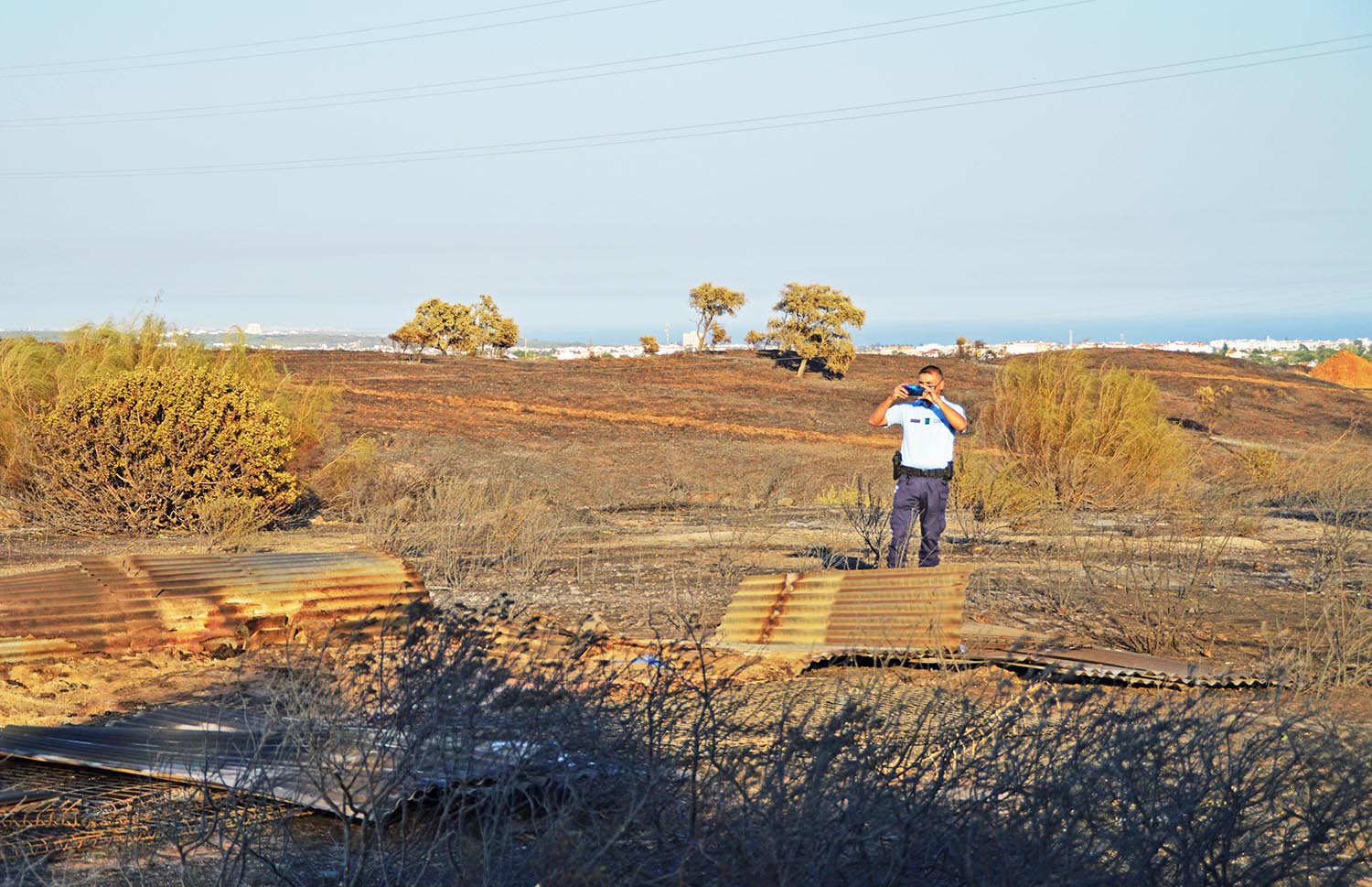 Sul Informação - Em Santa Rita, onde existiu um canil, apenas resta morte e destruição após o incêndio