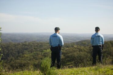 Sul Informação - Ferreira do Alentejo pede policiamento e fiscalização contra furtos no campo