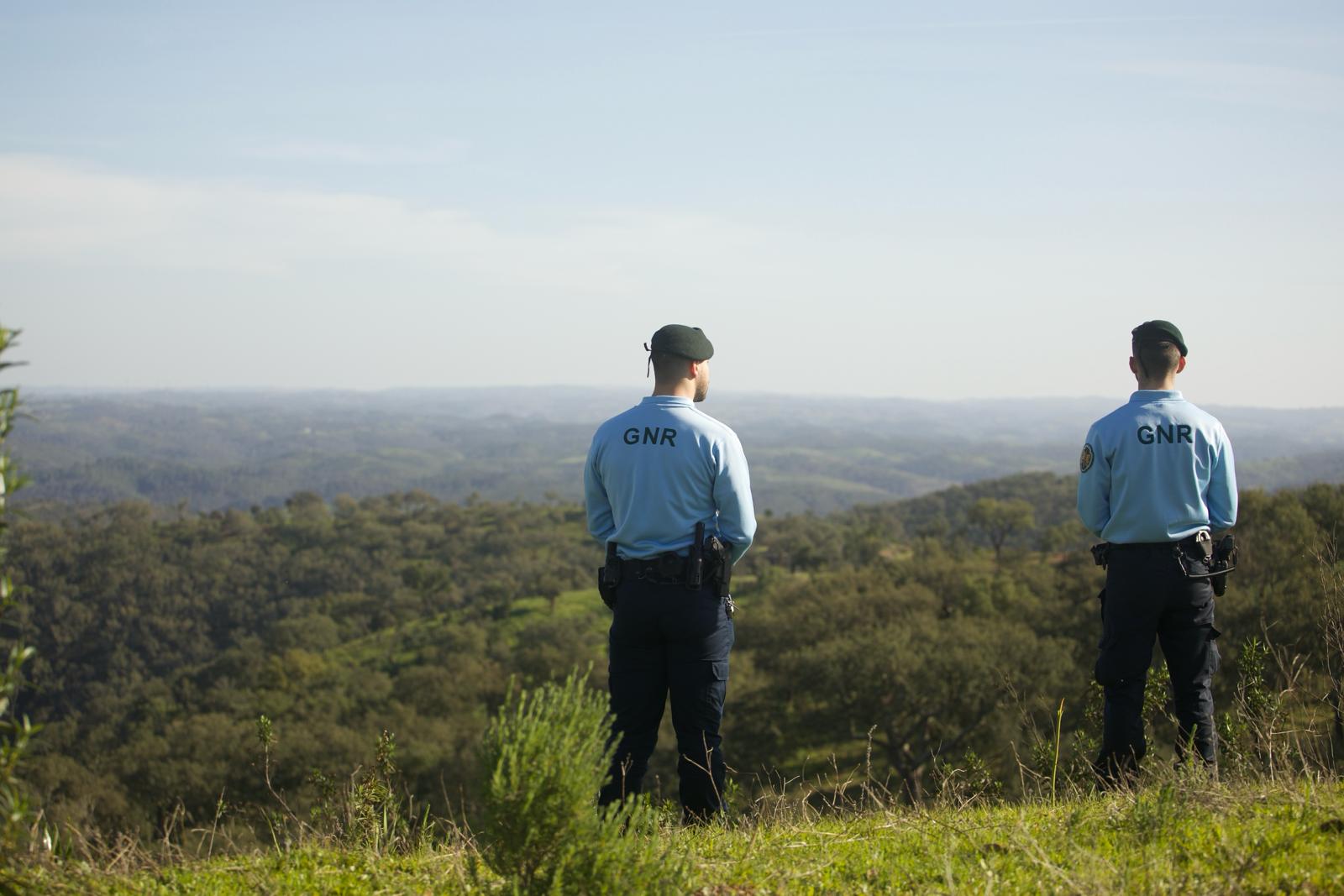 Sul Informação - Ferreira do Alentejo pede policiamento e fiscalização contra furtos no campo