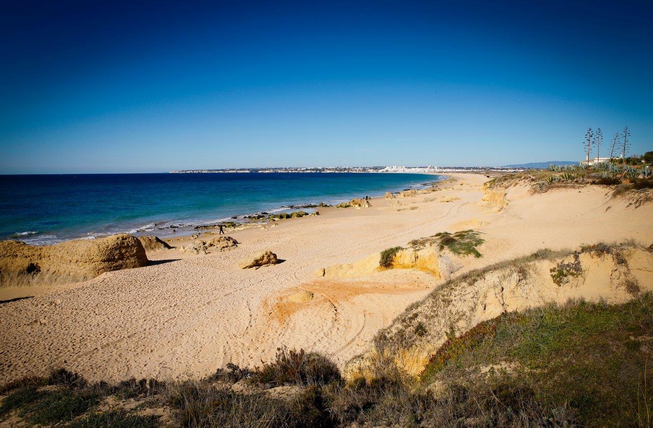Sul Informação - Albufeira, Silves e Lagoa juntam-se ao Zoomarine para a “Operação Praia Limpa”