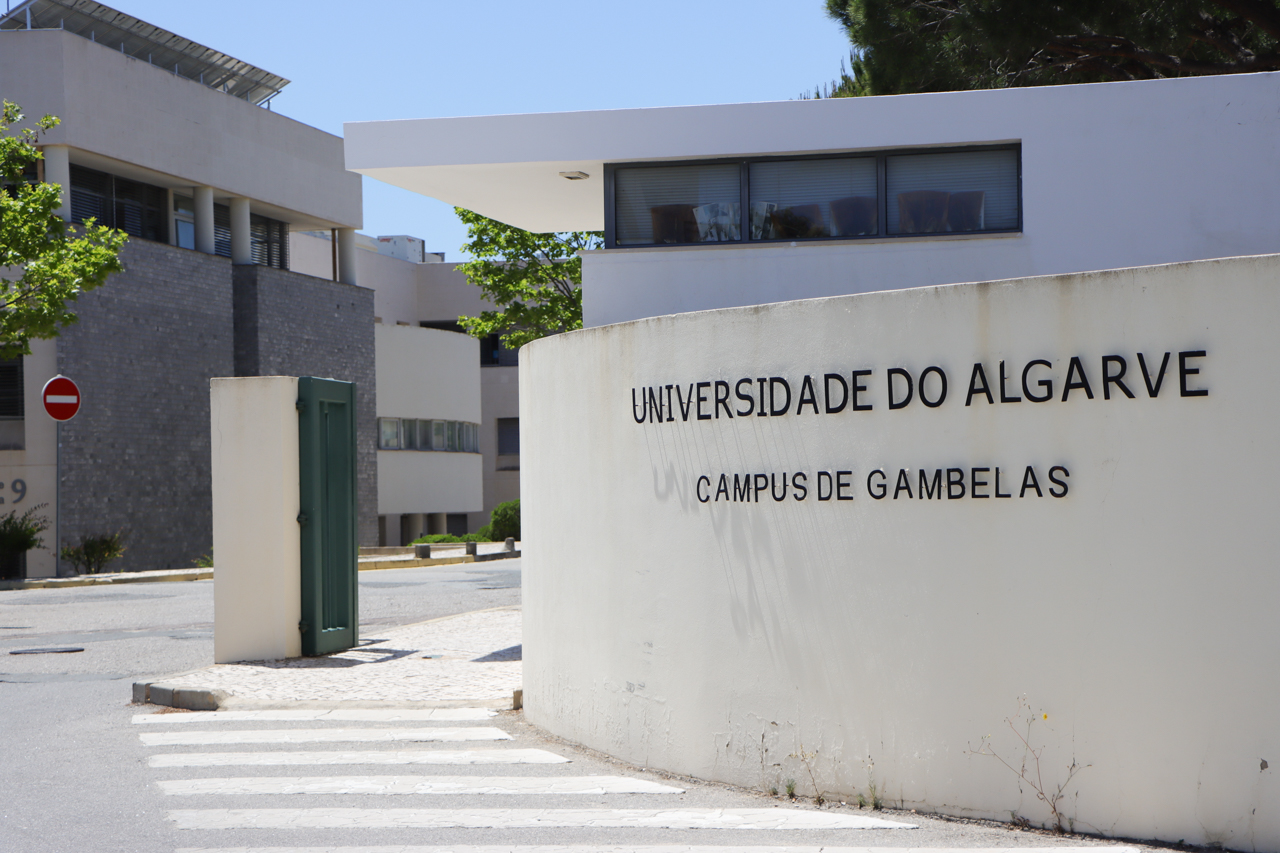 Sul Informação - UAlg abre 121 vagas para concurso especial para alunos do Ensino Profissional e Artístico