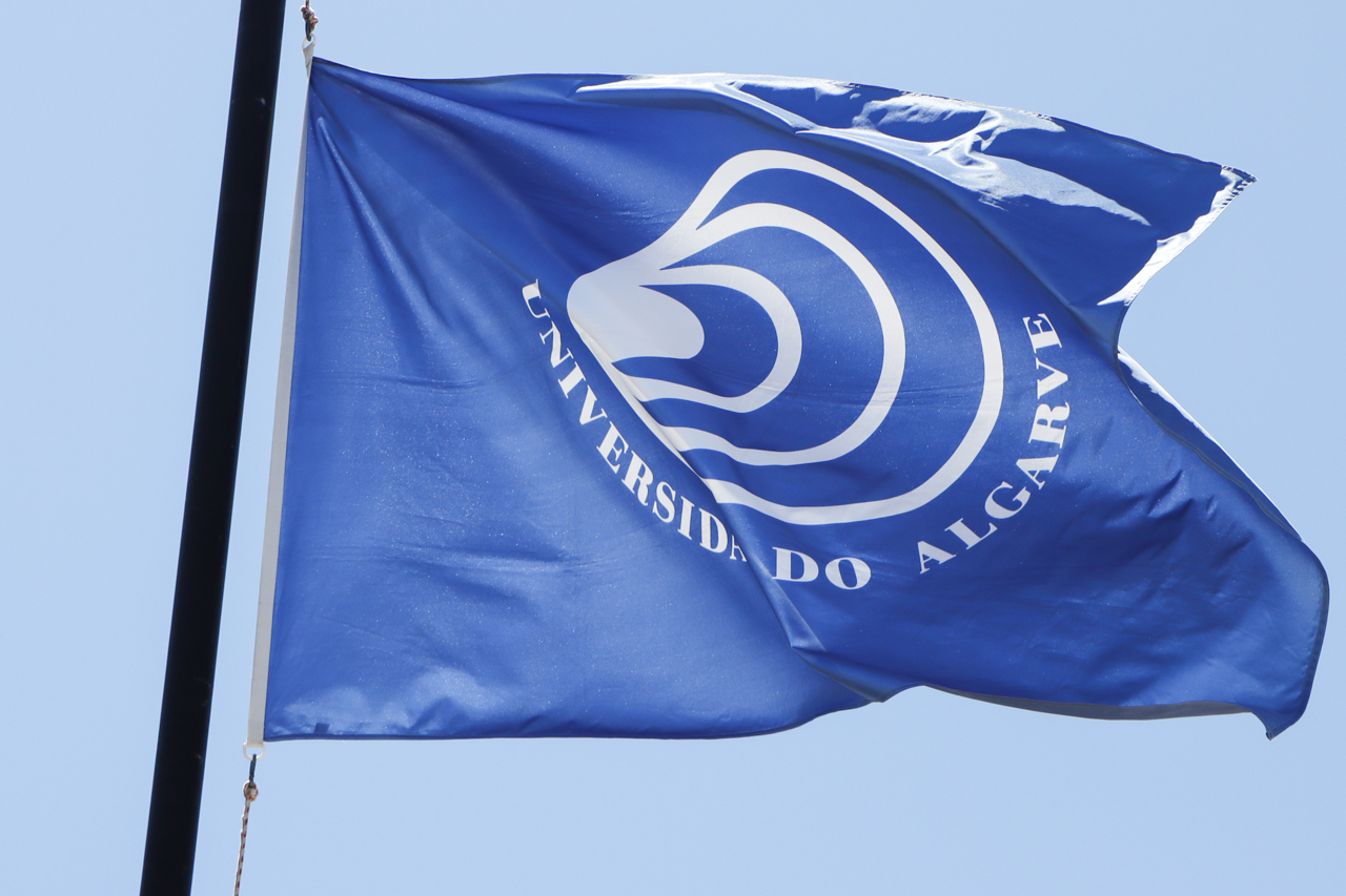 Sul Informação - Universidade do Algarve já tem Colégio Doutoral