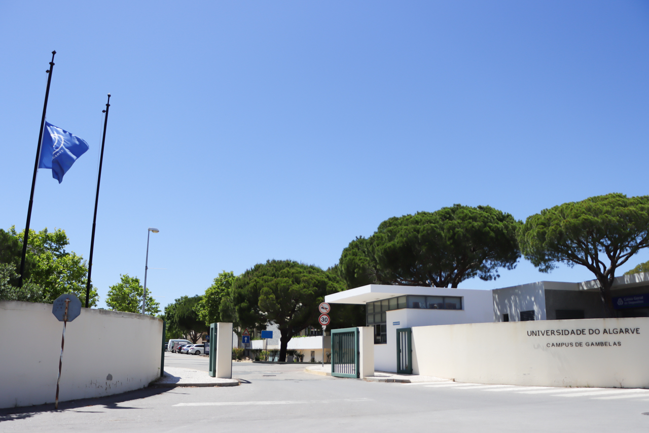 Sul Informação - Covid-19: Portugal recebeu menos sete mil estudantes de Erasmus no primeiro semestre
