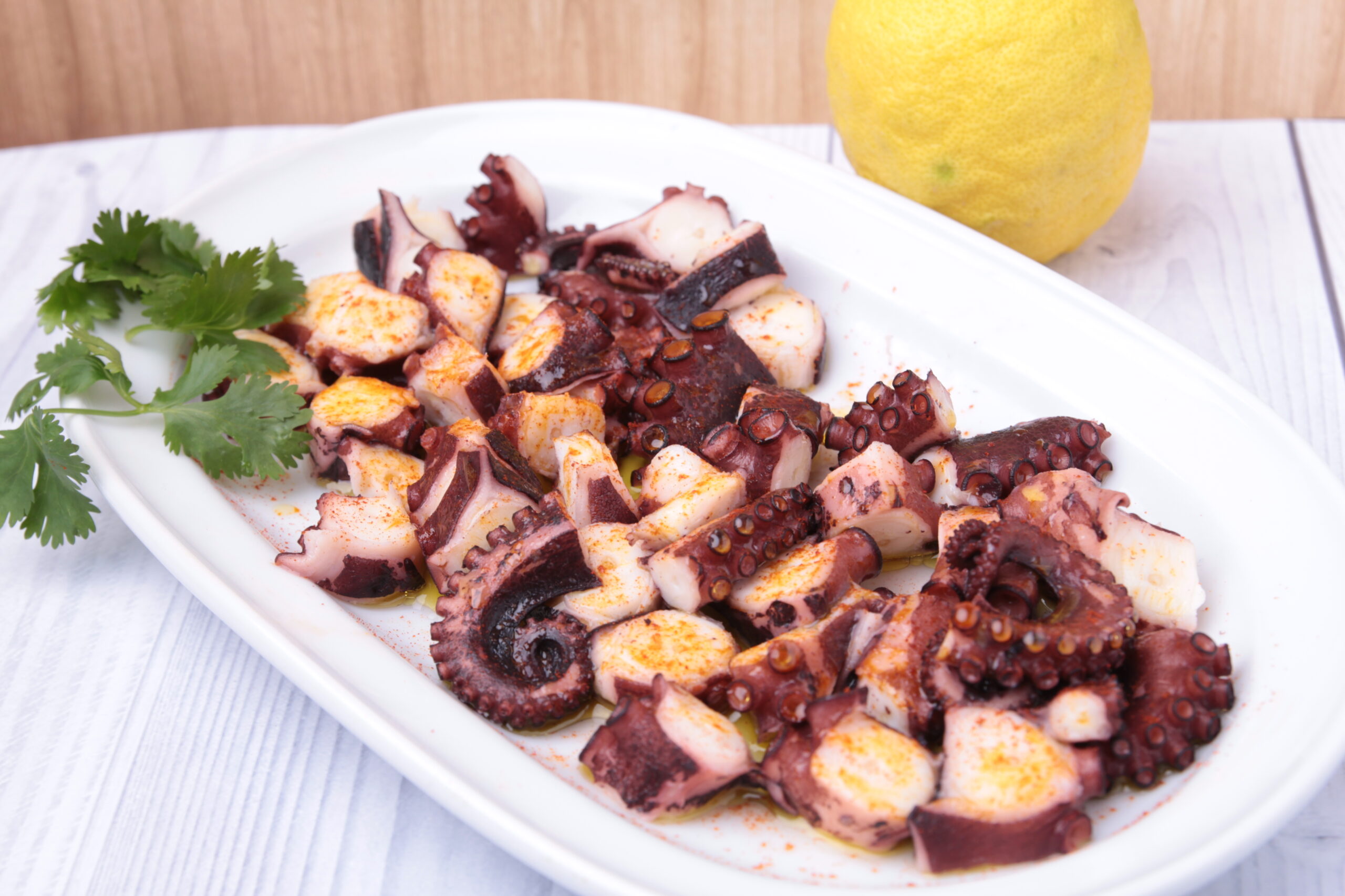 Sul Informação - Já abriram as inscrições para os Festivais de Gastronomia de Tavira