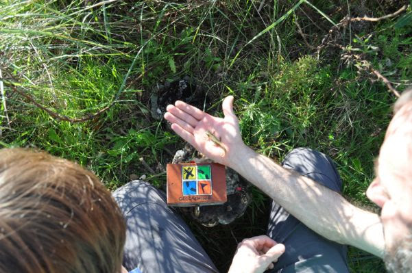 Sul Informação - O geocaching também está ao serviço da ciência