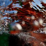 Sul Informação - “O Fantástico Mundo Surfistic” mostra-se no Museu de Portimão