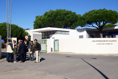 Sul Informação - Greve de docentes na Universidade do Algarve deixa «mais de 50 por cento das aulas» por realizar