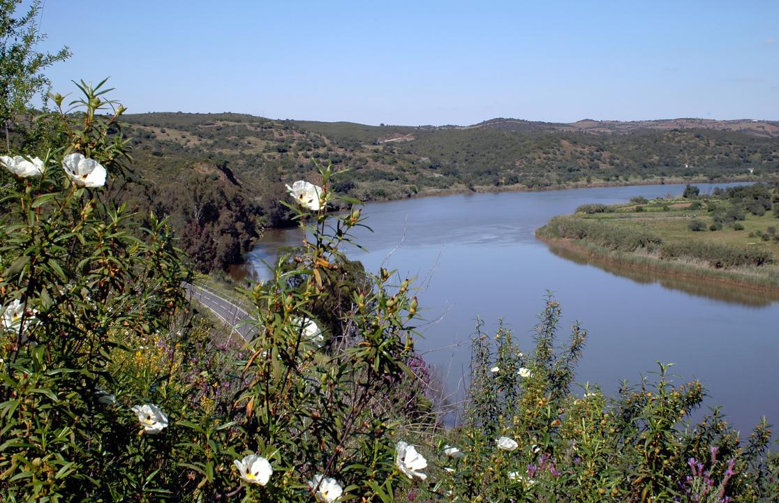 Sul Informação - Baixo Guadiana “expõe” o seu Património Natural na Bienal de Turismo de Aljezur