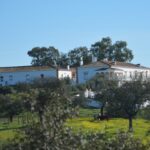 Sul Informação - Terras sem Sombra levou o seu público à descoberta do Rio Ardila e do Castelo de Noudar