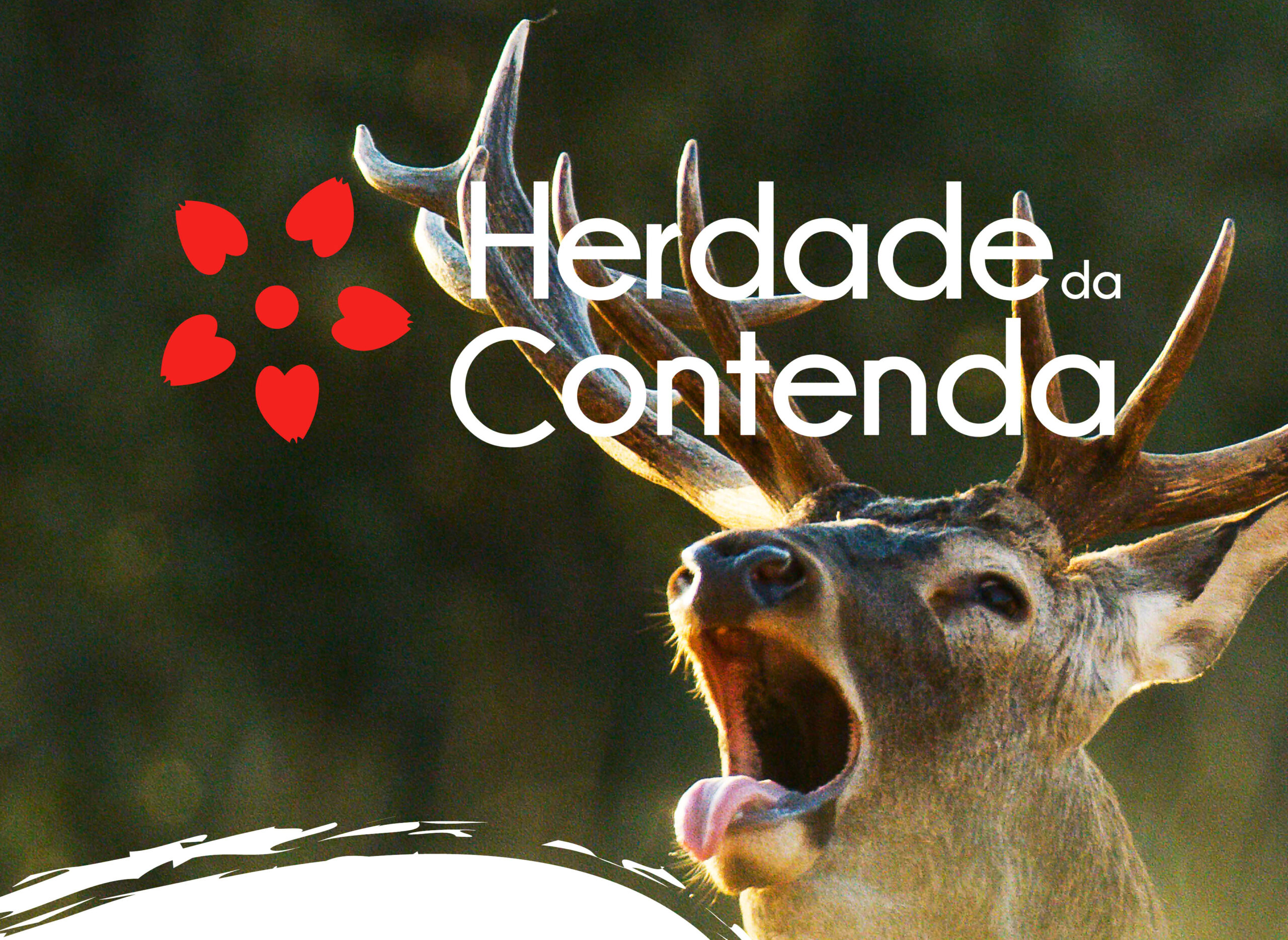 Sul Informação - “A Brama” dos veados é o tema dos próximos percursos na Herdade da Contenda