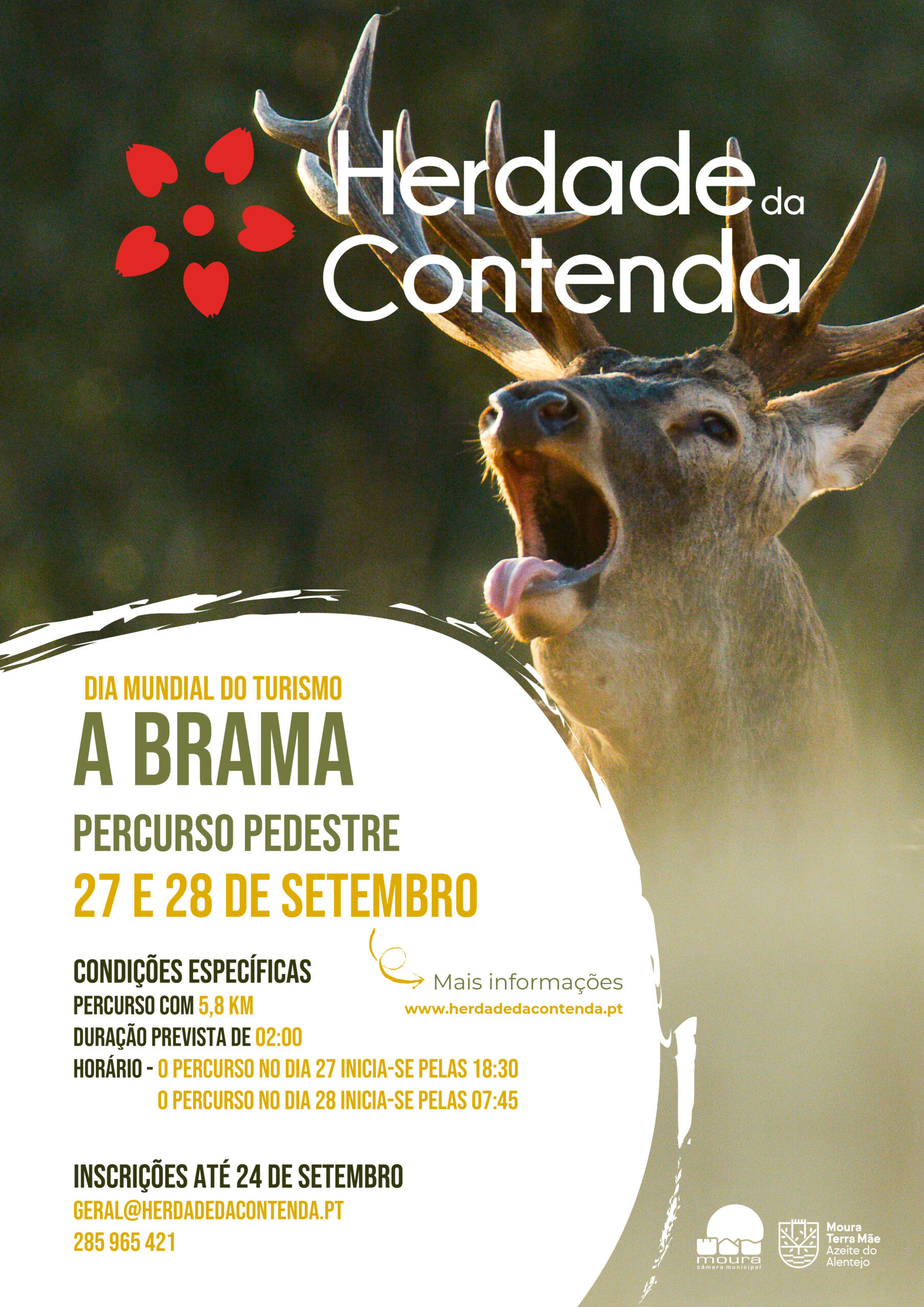 Sul Informação