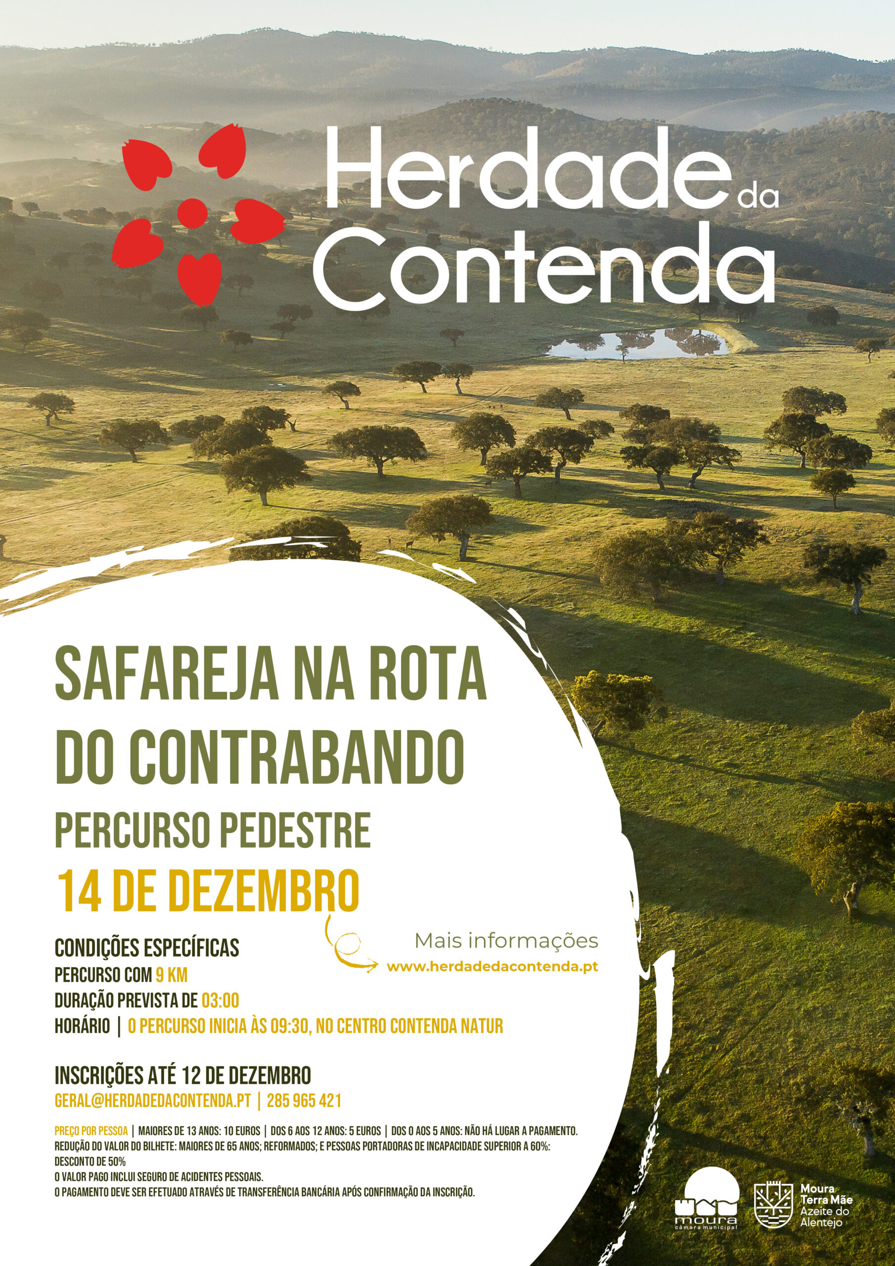 Sul Informação