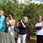 Sul Informação - Nuno Júdice homenageado com mural, exposição no Museu e poemas à beira do Arade