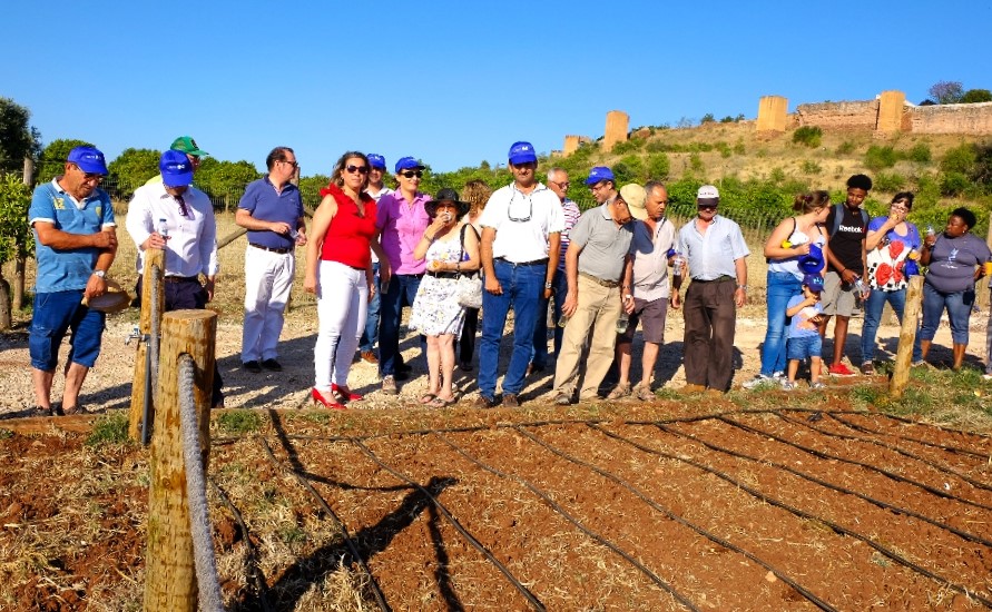 Sul Informação - Hortas comunitárias de Silves já foram entregues