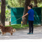 Sul Informação - Hotéis de cinco estrelas no Algarve há muitos, mas este é só para cães