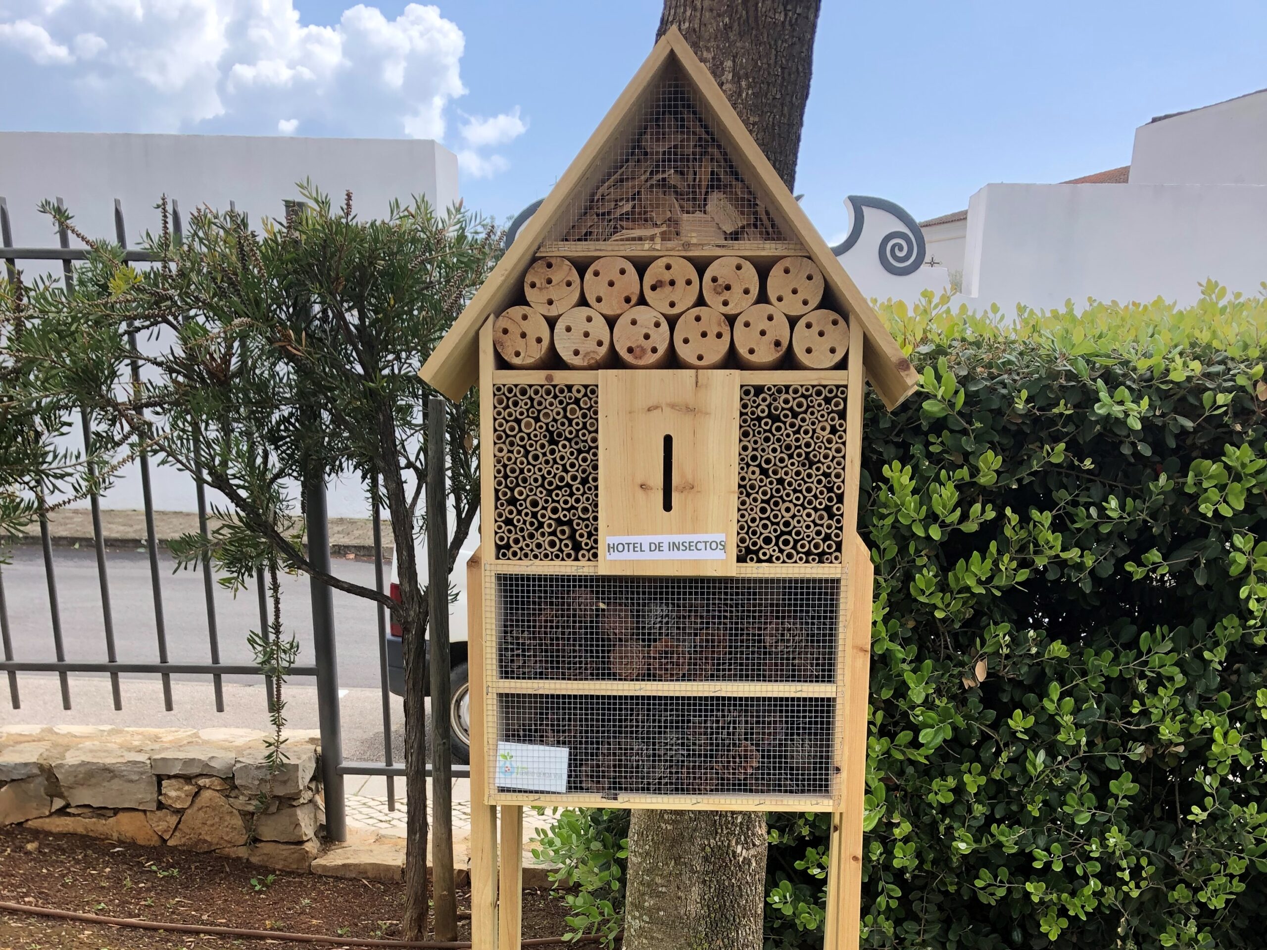 Sul Informação - Insetos polinizadores “ganham” dois hotéis em Tavira