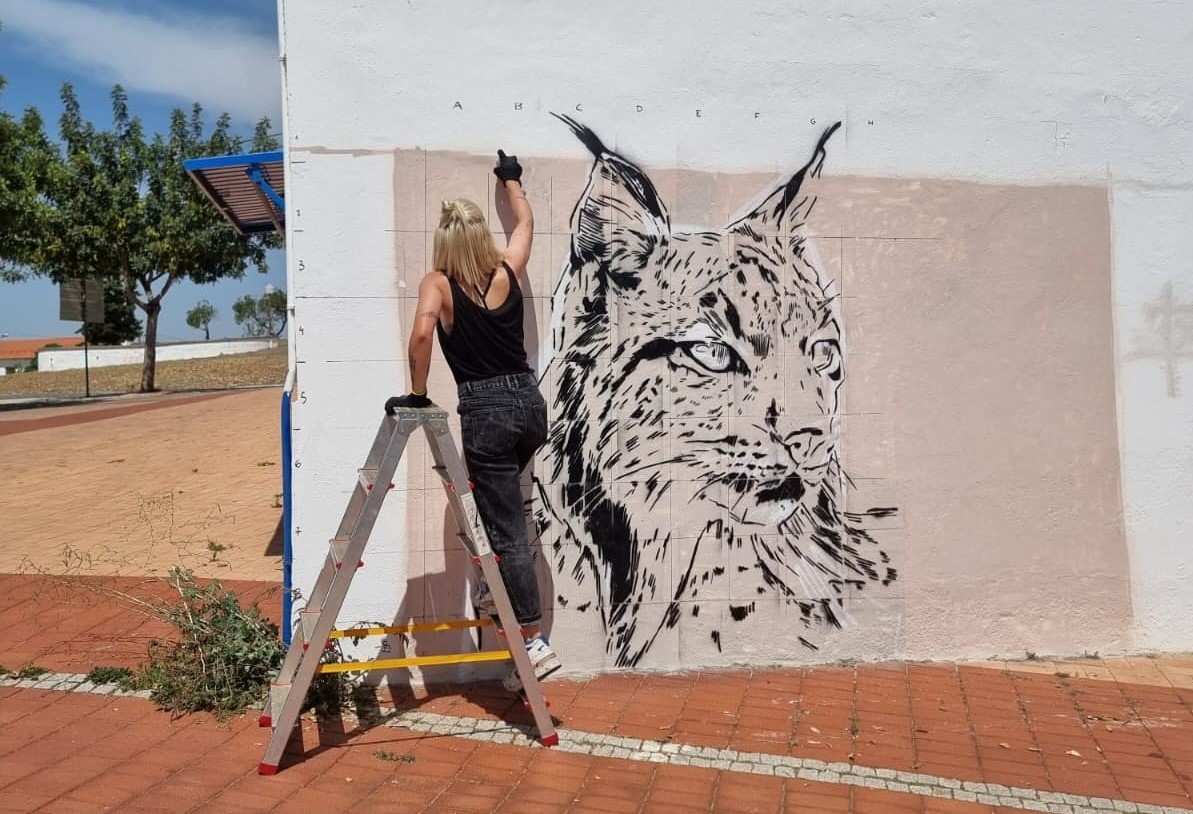 Sul Informação - Artista português e artista norueguês levam arte às ruas da Mina de São Domingos