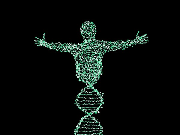 Sul Informação - A hereditariedade e os genes herdados