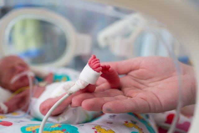 Sul Informação - A voz materna reduz a dor em bebés prematuros