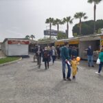 Sul Informação - «Feira do Porco Alentejano tem uma dinâmica muito própria» [com fotos]