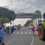 Sul Informação - «Feira do Porco Alentejano tem uma dinâmica muito própria» [com fotos]