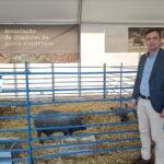 Sul Informação - «Feira do Porco Alentejano tem uma dinâmica muito própria» [com fotos]