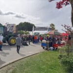 Sul Informação - Feira do Porco Alentejano regressa em força e recebe «verdadeiro mar de gente» [com fotos]