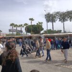 Sul Informação - Feira do Porco Alentejano regressa em força e recebe «verdadeiro mar de gente» [com fotos]