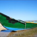 Sul Informação - Imagens de um singular Algarve – Memória das orgânicas embarcações