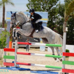 Sul Informação - Hipismo: Títulos de Campeões Nacionais de Obstáculos definidos em Vilamoura