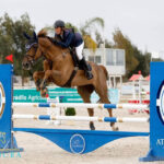 Sul Informação - Hipismo: Títulos de Campeões Nacionais de Obstáculos definidos em Vilamoura