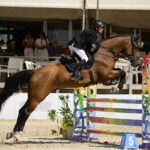 Sul Informação - Hipismo: Títulos de Campeões Nacionais de Obstáculos definidos em Vilamoura
