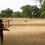 Sul Informação - Patrimónios imateriais e fotografia