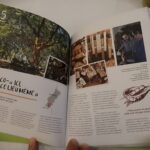 Sul Informação - Algarve presente no guia “A Europa Rural em Movimento” lançado em Paris