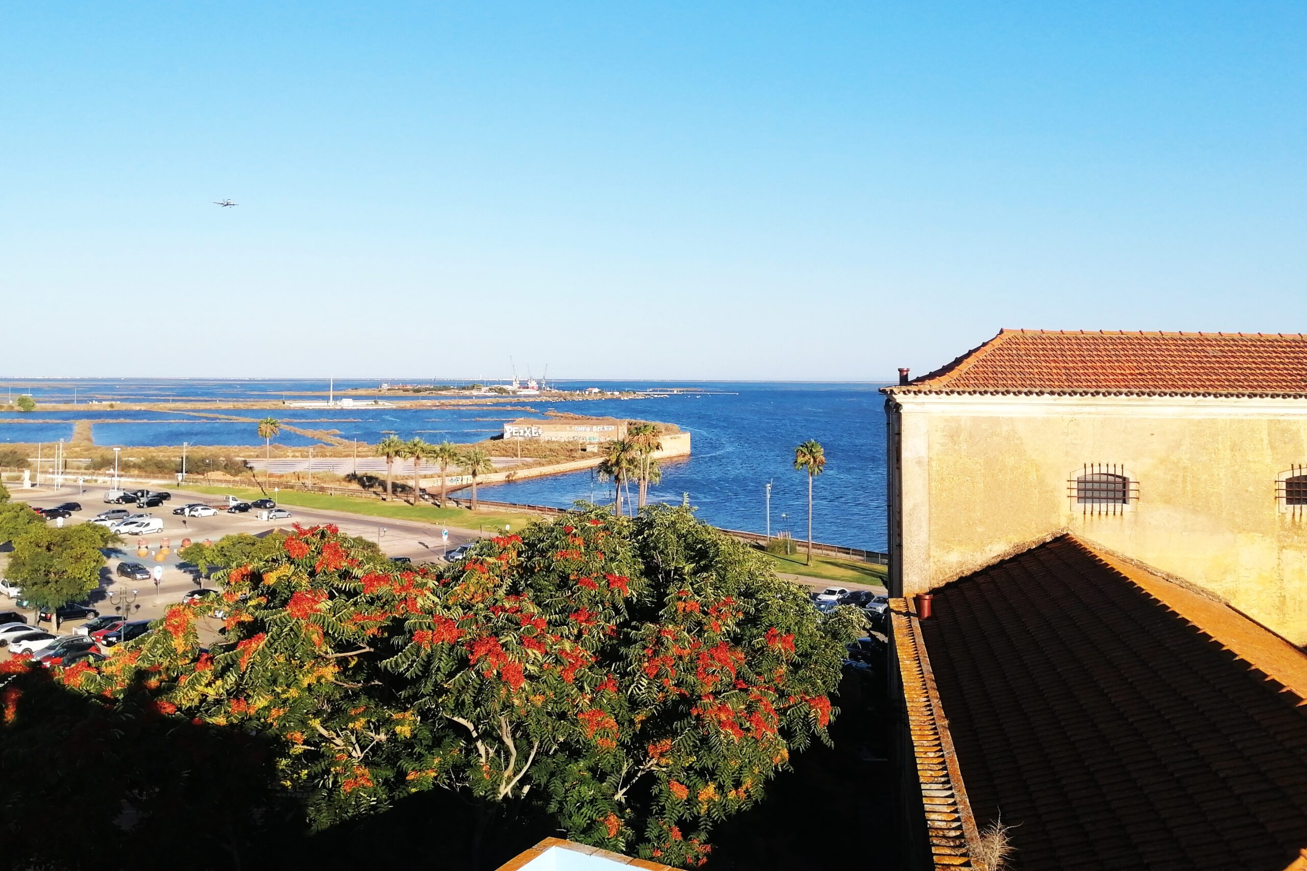 Sul Informação - Festival Sunplugged celebra luz solar em Faro e em cidades da Suécia e de Itália