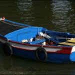 Sul Informação - Imagens de um singular Algarve – Memória das orgânicas embarcações
