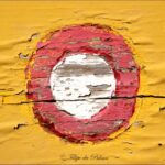 Sul Informação - Imagens de um singular Algarve – Memória das orgânicas embarcações