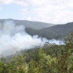 Sul Informação - Dois canadairs, dois aviões ligeiros e três helicópteros ajudaram a controlar fogo na Serra de Monchique