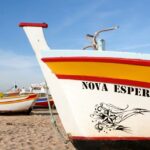 Sul Informação - Imagens de um singular Algarve – Memória das orgânicas embarcações