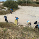 Sul Informação - Famílias e mergulhadores unem-se ao Zoomarine para limpar praias e o mar