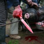 Sul Informação - Patrimónios imateriais e fotografia